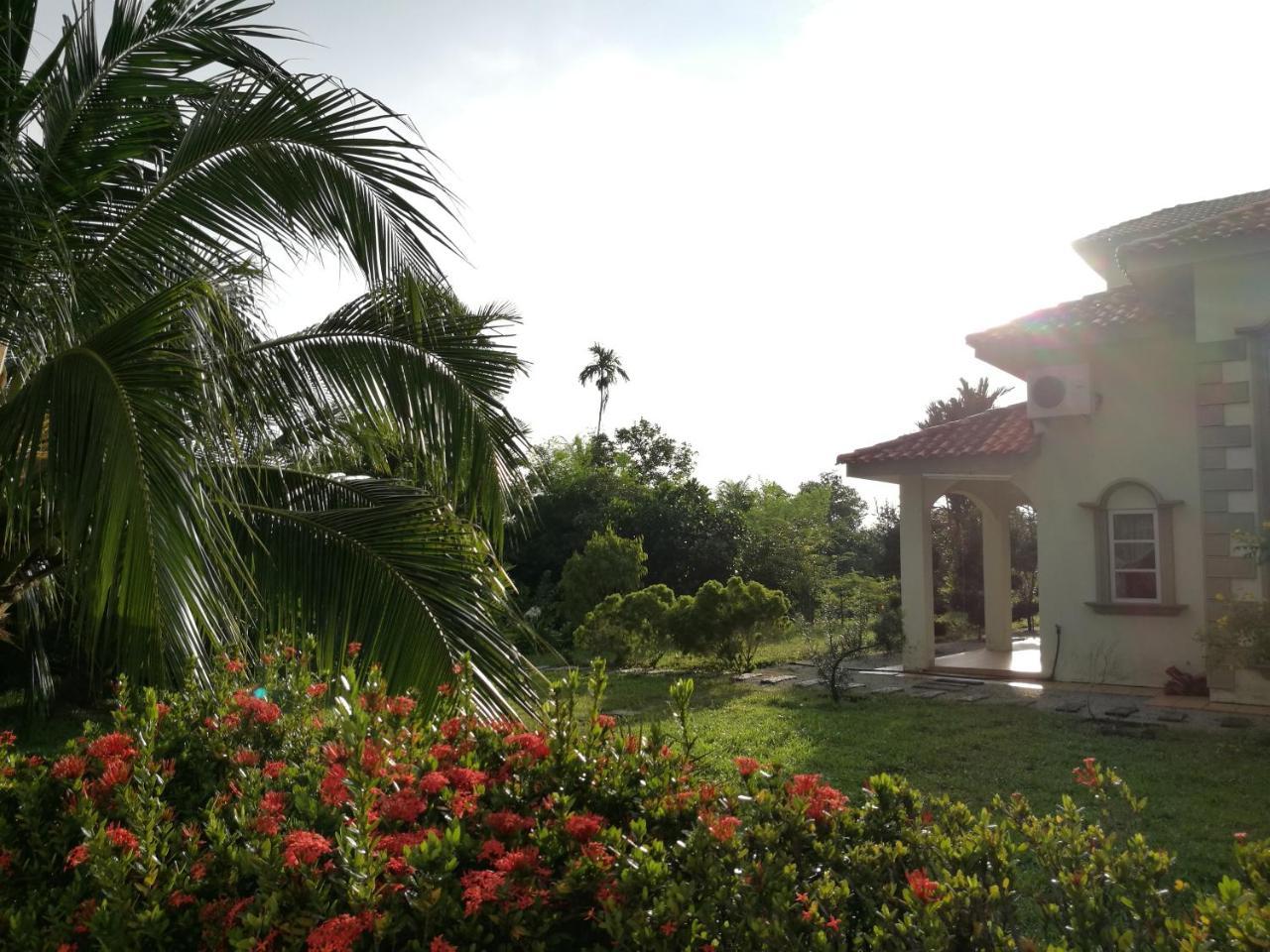 Guesthouse Dragon Place Taiping Extérieur photo