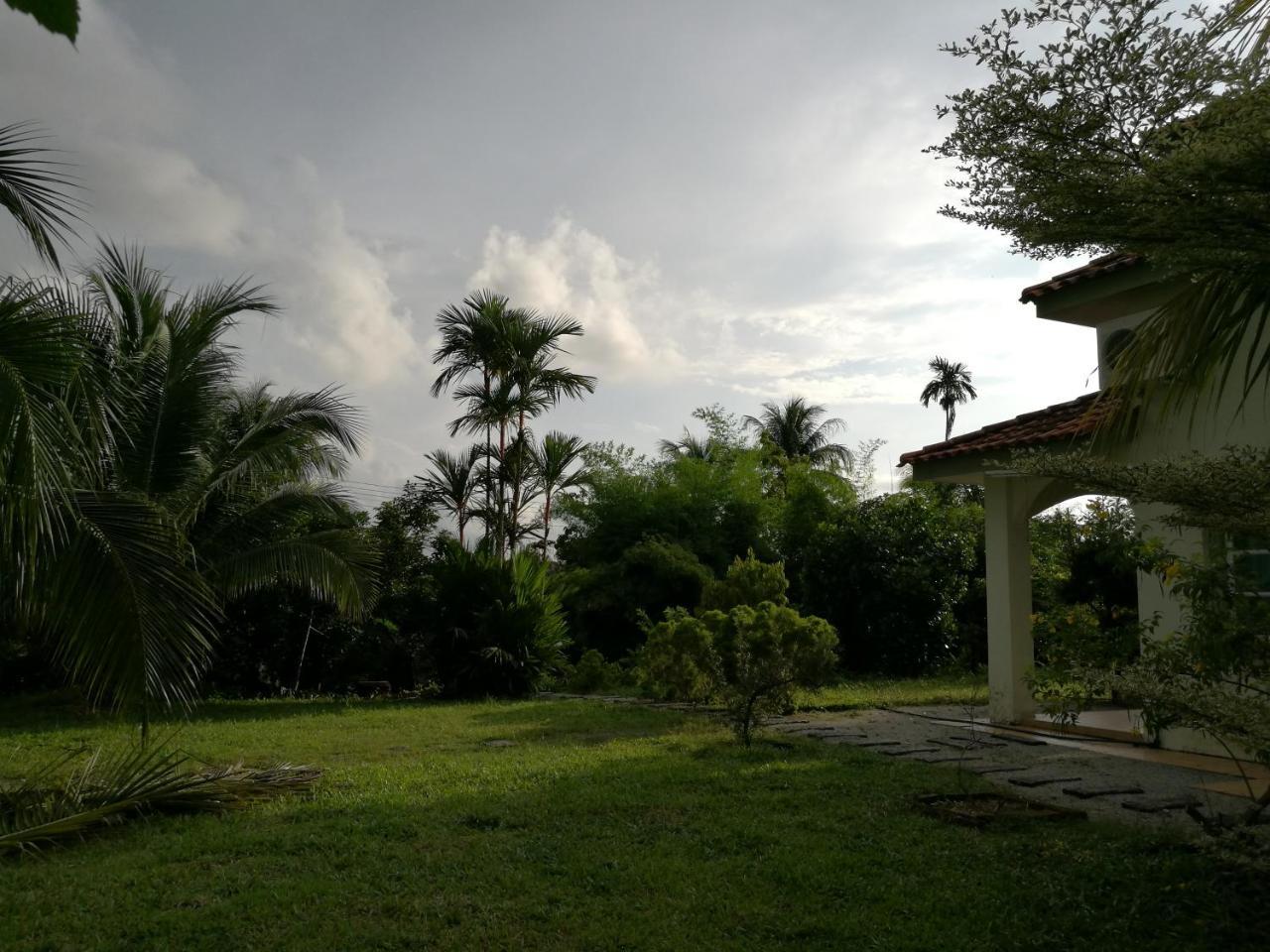 Guesthouse Dragon Place Taiping Extérieur photo